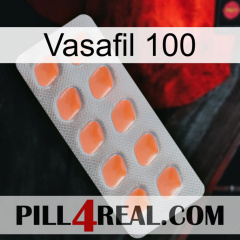 Vasafil 100 26